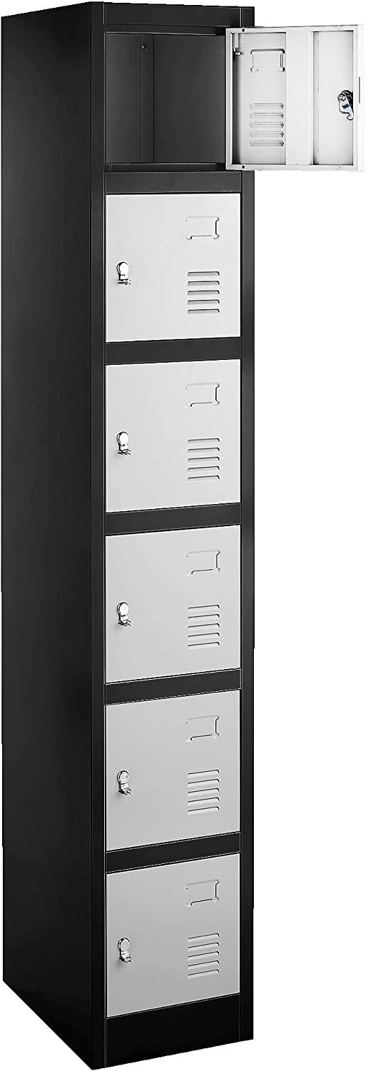 Review of Fedmax Locker Storage Cabinet - 6 Metal Wall Lockers