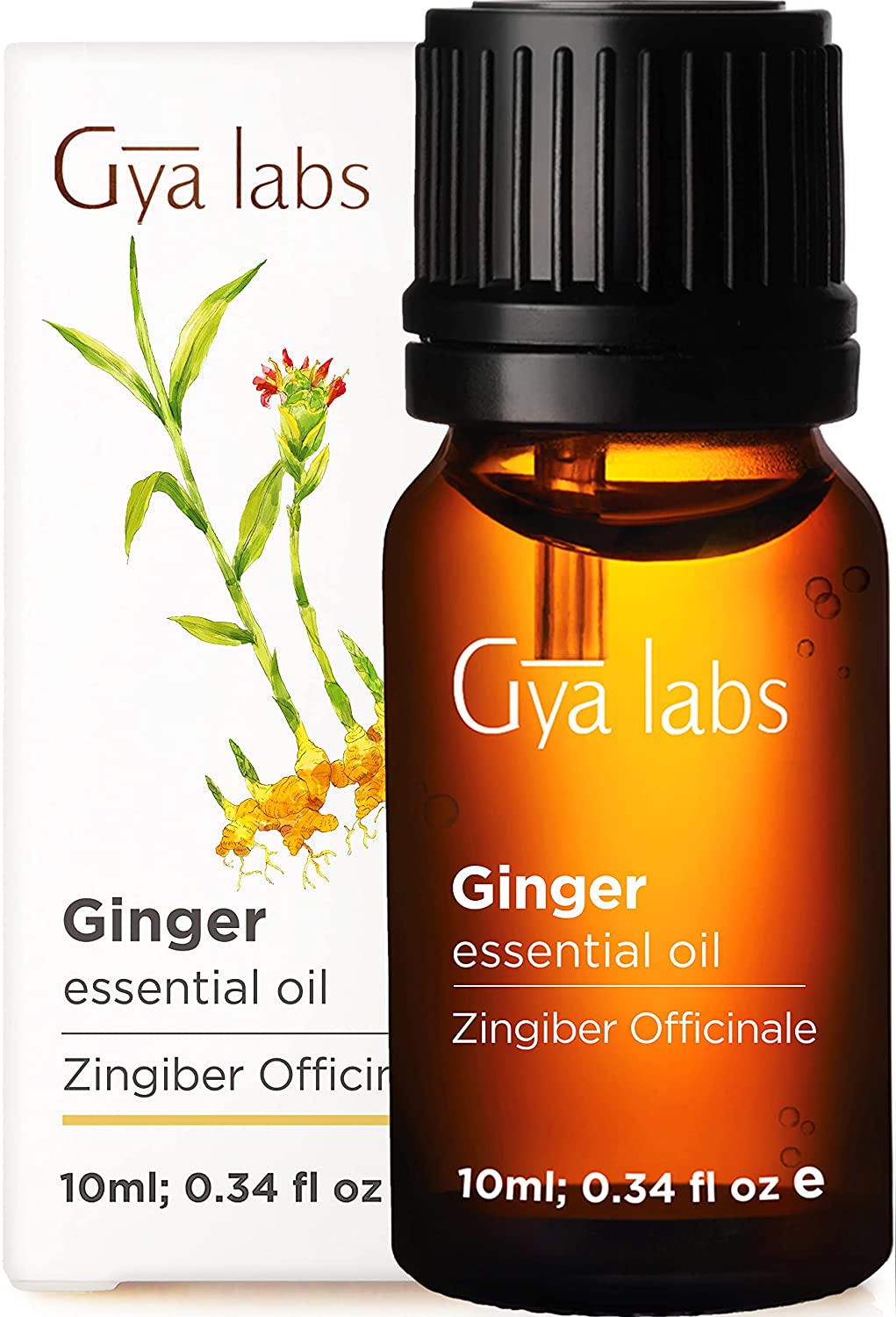 Gya Labs Ginger Essential Oil - 10ml