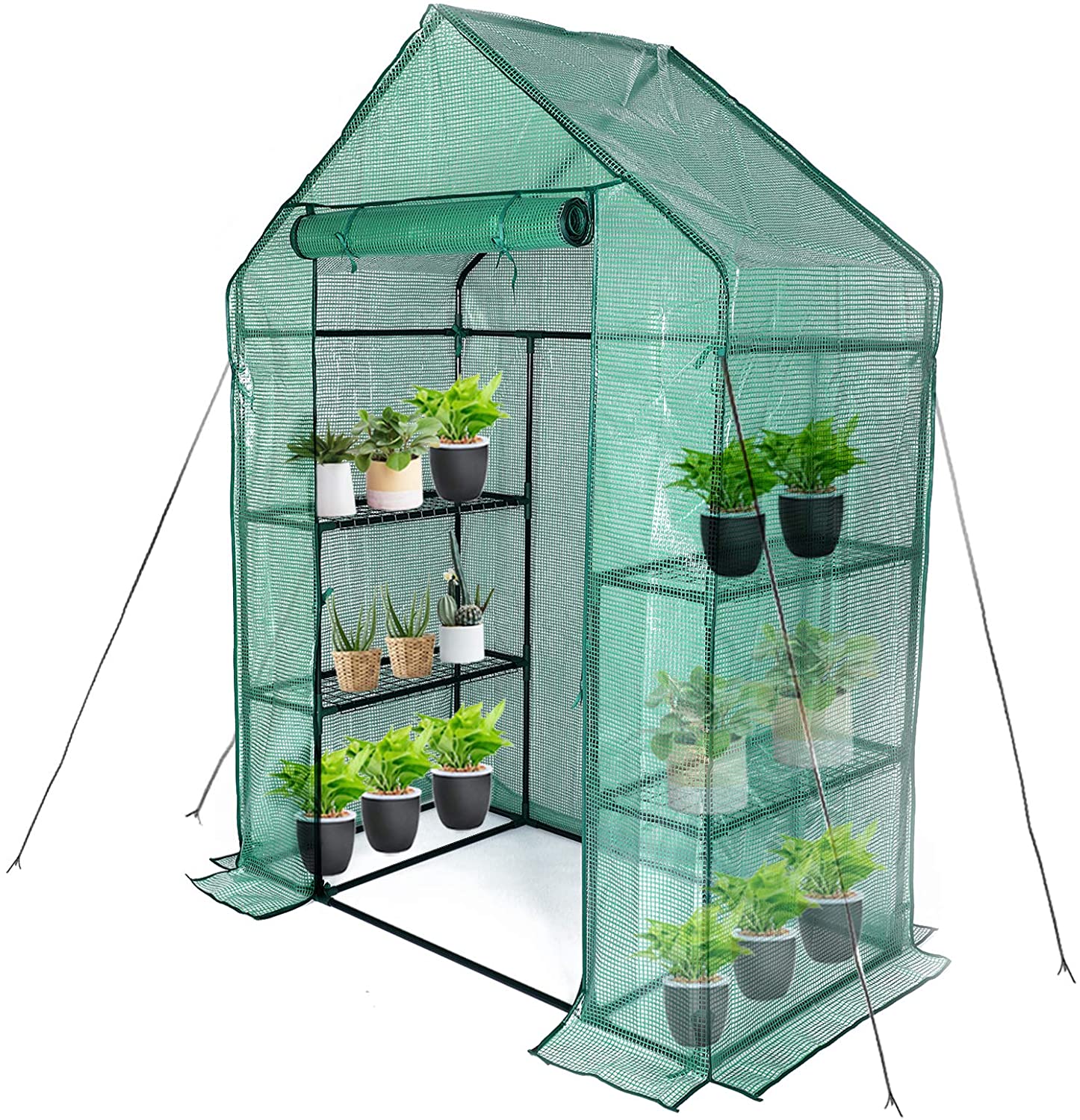 Review of Mini Walk in Greenhouse with PE Cover, 3 Tiers 4 Shelves