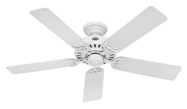 Review of Hunter 25517 Summer Breeze 52-Inch 5-Blade Ceiling Fan, White with White/Bleached Oak Blades