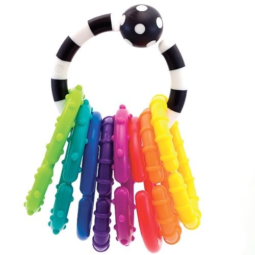 Review of Sassy Ring O' Links Rattle Developmental Toy